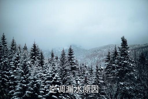 空调漏水原因