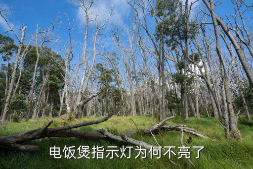 为什么电饭煲灯不亮了，电饭煲灯不亮了什么原因造成的