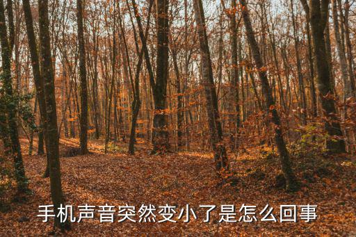 手机声音突然变小了是怎么回事