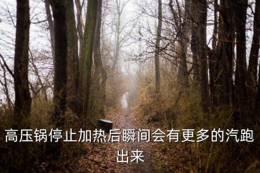 高压锅停止加热后瞬间会有更多的汽跑出来