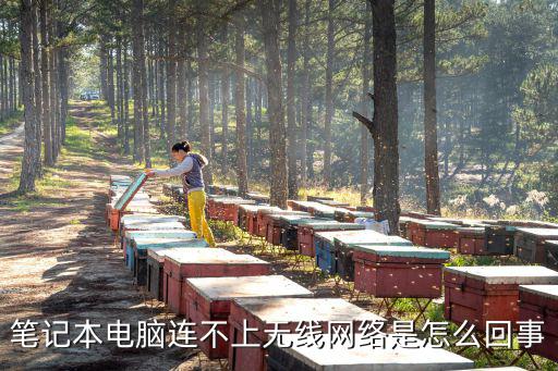 为什么笔记本连不上网，笔记本电脑连不上无线网络是怎么回事