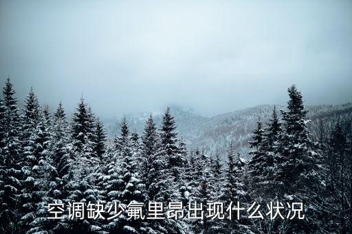 空调缺少氟里昂出现什么状况