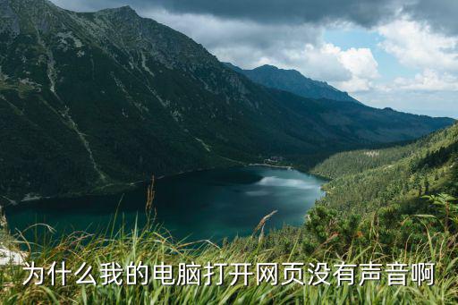 为什么我的电脑打开网页没有声音啊