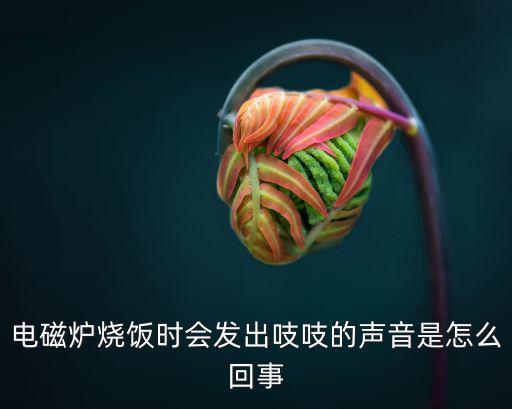 电磁炉加热时吱吱响为什么，电磁炉烧饭时会发出吱吱的声音是怎么回事