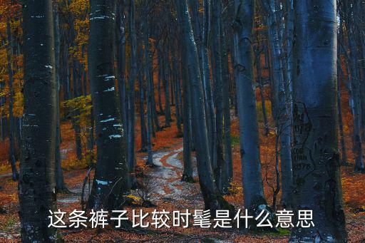 这条裤子比较时髦是什么意思