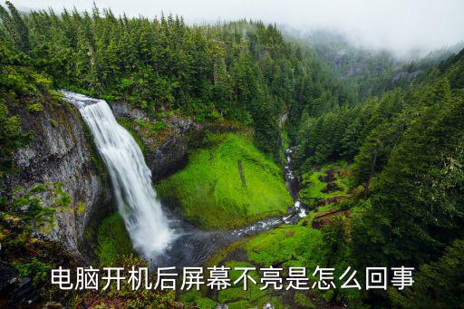 为什么开机后屏幕不亮了，电脑开机后屏幕不亮是怎么回事