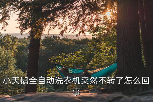 小天鹅全自动洗衣机突然不转了怎么回事