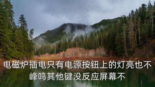 电磁炉为什么灯不亮了，电磁炉插电只有电源按钮上的灯亮也不峰鸣其他键没反应屏幕不