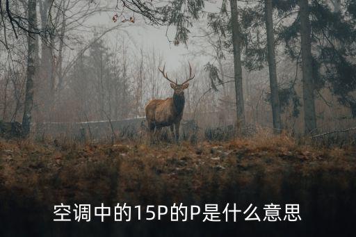 空调中的15P的P是什么意思