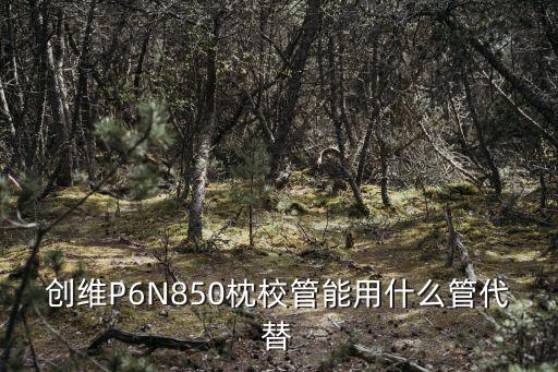 创维P6N850枕校管能用什么管代替