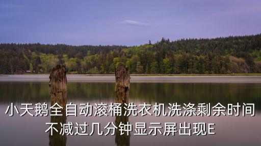 小天鹅全自动滚桶洗衣机洗涤剩余时间不减过几分钟显示屏出现E