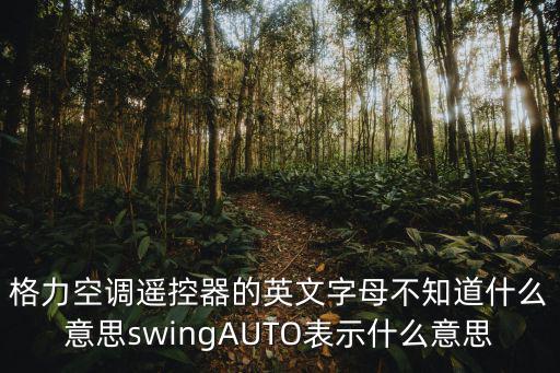 格力空调王摇控字母分别代表什么，格力空调遥控器的英文字母不知道什么意思swingAUTO表示什么意思