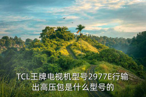 TCL王牌电视机型号2977E行输出高压包是什么型号的