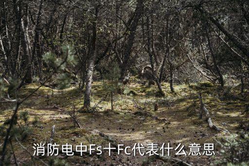 消防电中Fs十Fc代表什么意思