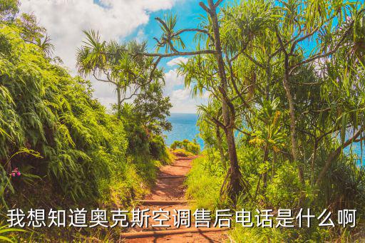 我想知道奥克斯空调售后电话是什么啊