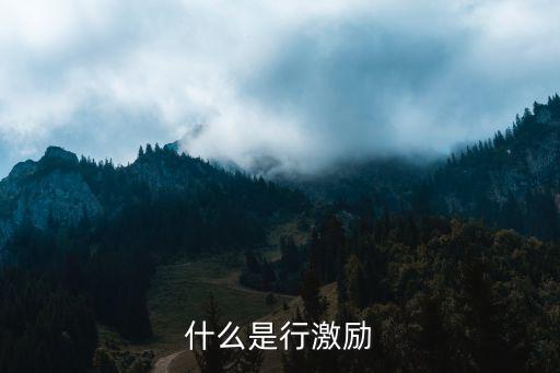 什么是行激励
