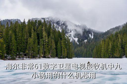 海尔非常61数字卫星电视接收机中九小锅用的什么机芯用