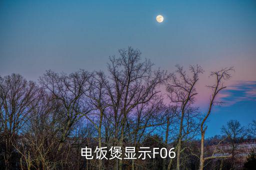 电饭煲显示F06