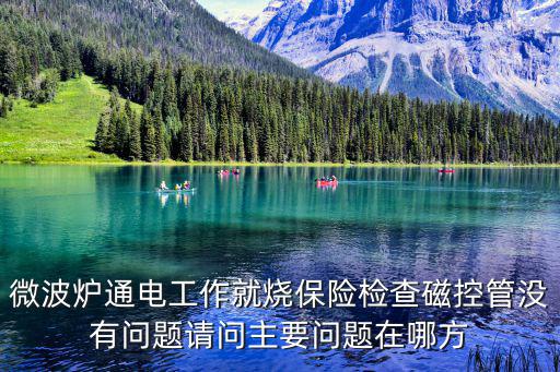 微波炉通电工作就烧保险检查磁控管没有问题请问主要问题在哪方