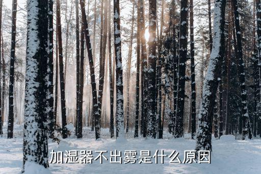 加湿器不出雾是什么原因