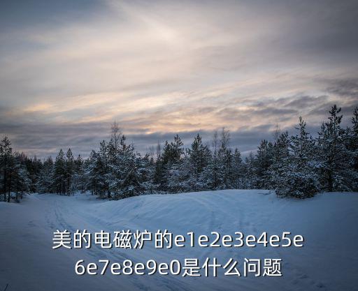 美的电磁炉的e1e2e3e4e5e6e7e8e9e0是什么问题