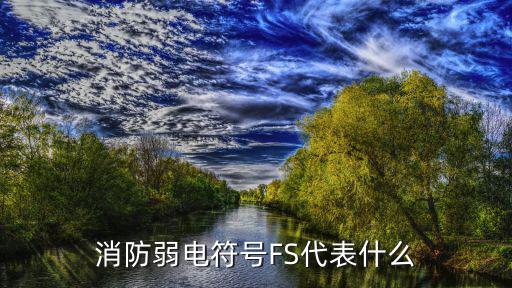 FS电路中代表什么意思，消防电中Fs十Fc代表什么意思