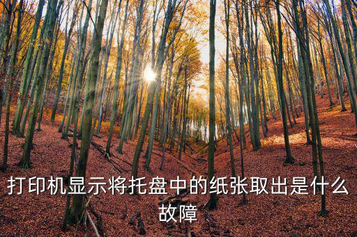 打印机显示将托盘中的纸张取出是什么故障