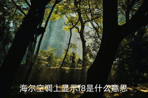 空调显示f8是什么意思，美的空调变频空调出现f8代码是什么意思