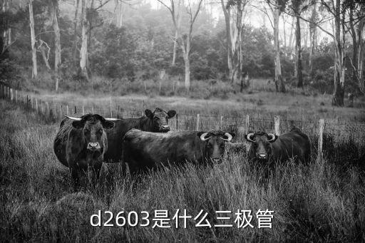 d2603是什么三极管