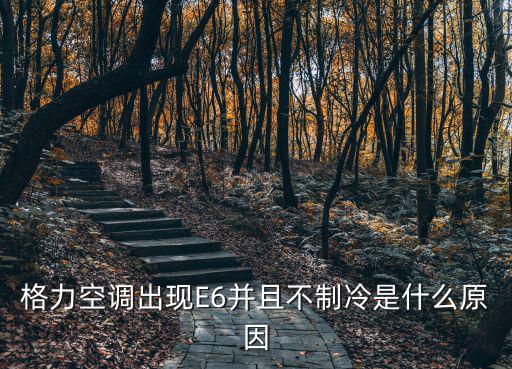 格力空调不制冷显示e 6 是什么原因，格力变频空调凯迪斯不制冷出现E6是什么问题
