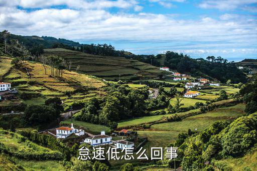 怠速低怎么回事