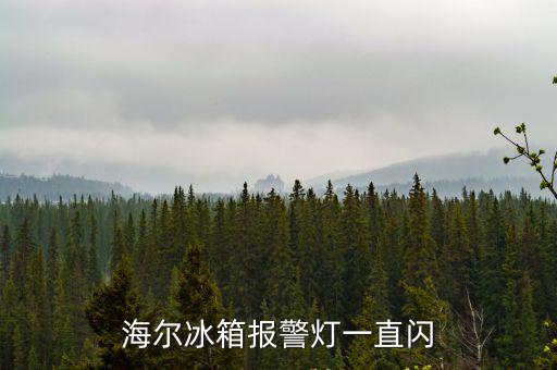 海尔冰箱报警灯一直闪