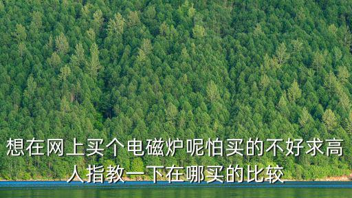 想在网上买个电磁炉呢怕买的不好求高人指教一下在哪买的比较