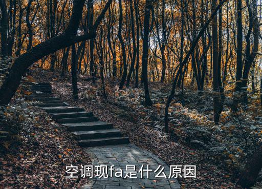 空调现fa是什么原因