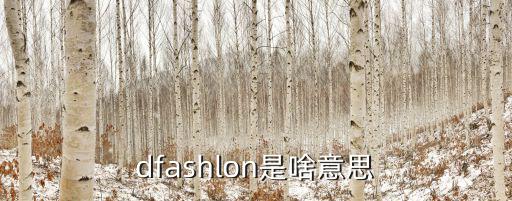 dfashlon是啥意思