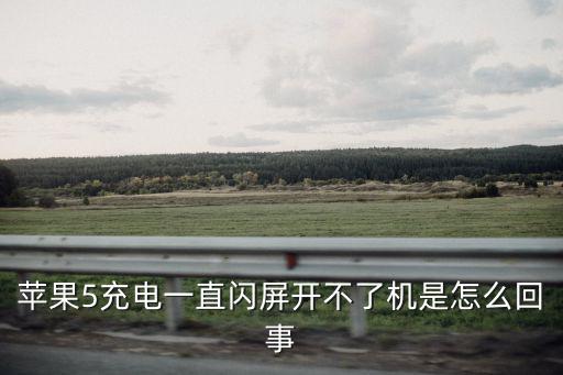 苹果5充电一直闪屏开不了机是怎么回事