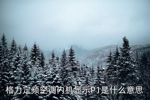 格力空调显示p1什么意思，空调开着开着就跳p1是怎么回事