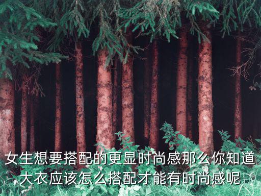 女生想要搭配的更显时尚感那么你知道大衣应该怎么搭配才能有时尚感呢