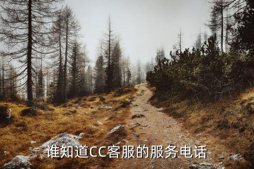 谁知道CC客服的服务电话