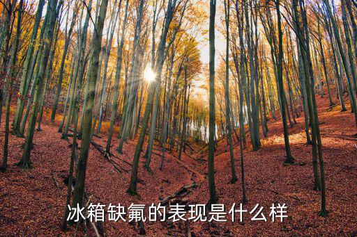 冰箱缺氟什么症状，冰箱缺氟表现什么样