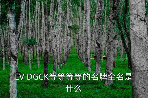 时尚圈几大品牌是什么，LV DGCK等等等等的名牌全名是什么