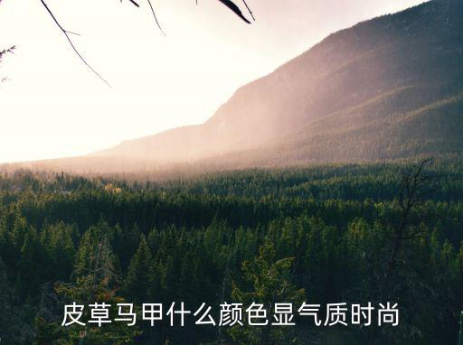皮草马甲什么颜色显气质时尚