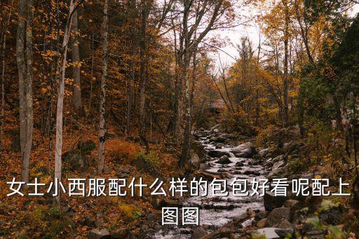 女士小西服配什么样的包包好看呢配上图图