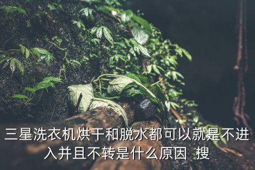 三星洗衣机不转是什么原因是什么，三星洗衣机烘干和脱水都可以就是不进入并且不转是什么原因  搜