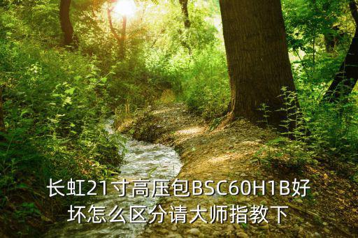 长虹21寸高压包BSC60H1B好坏怎么区分请大师指教下