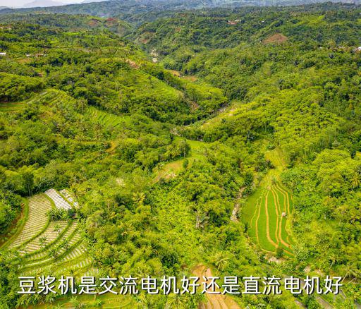 豆浆机什么电机好，您好 我想问下九阳豆浆机是采用那种电机什么型号的