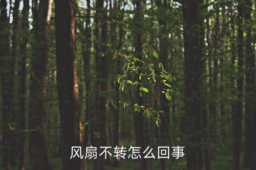 风扇电机不转是什么原因，风扇不转怎么回事