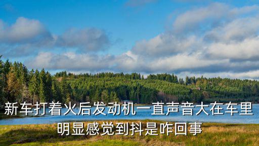 新车打着火后发动机一直声音大在车里明显感觉到抖是咋回事