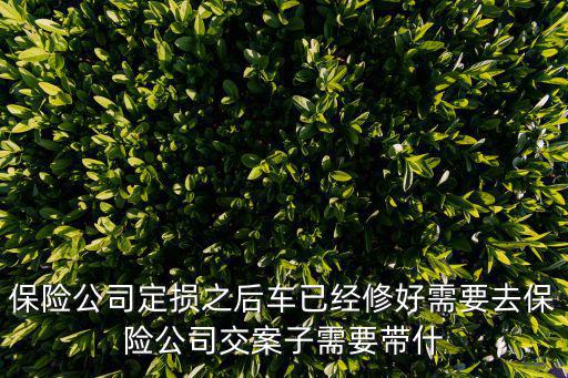 双车保险修完车提交什么资料，保险公司定损之后车已经修好需要去保险公司交案子需要带什