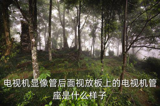 电视机像管管座是什么，电视机管坐有什么用